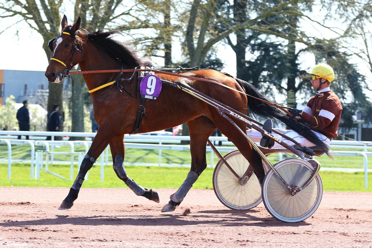 Quinté+: Le Pro du jour - Jean-Paul Marmion : 