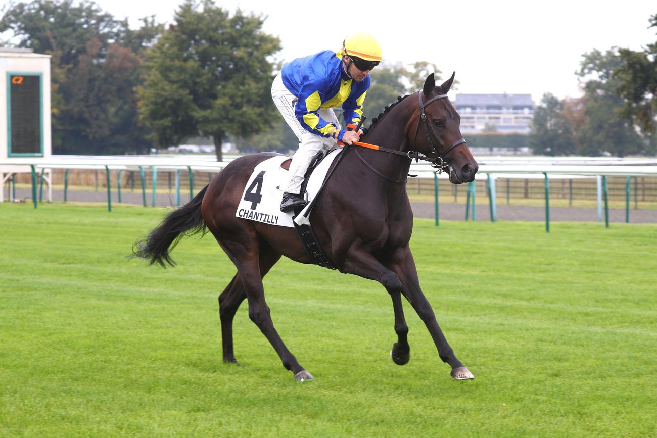 Quinté+: Le pro du jour – Nicolas Caullery : 