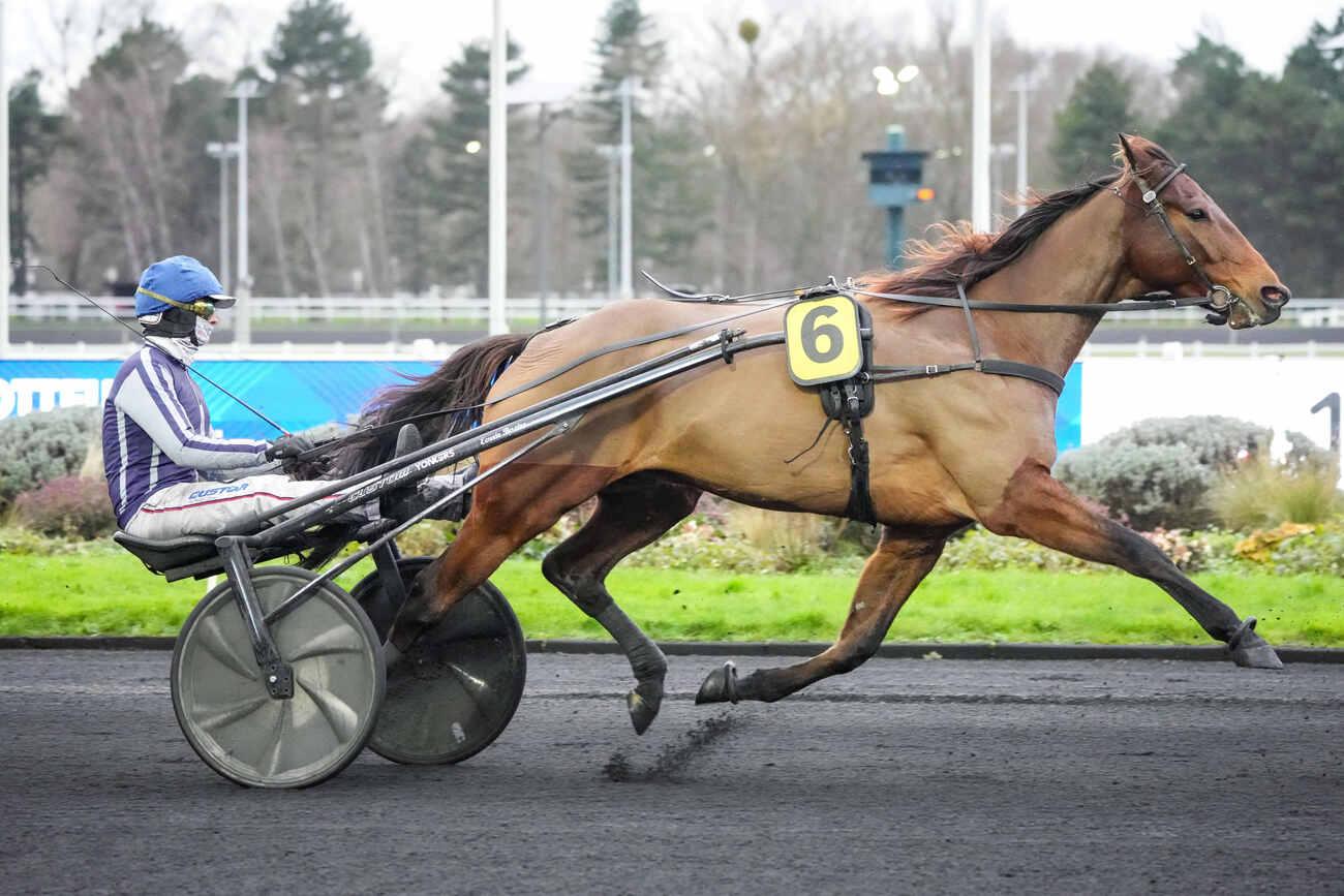 Quinté+: Le pro du jour - Nicolas Bazire : 