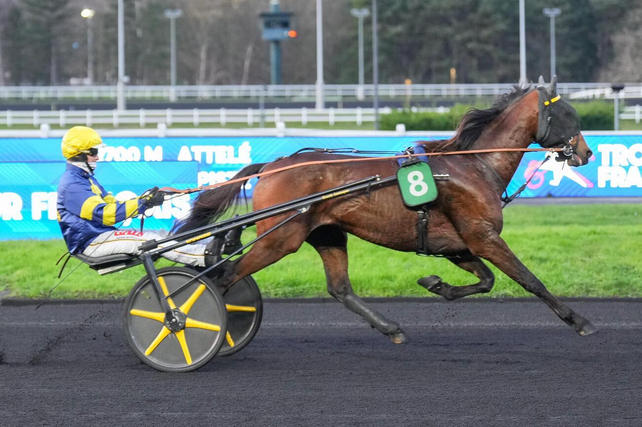 Quinté+: Le Pro du jour - Thomas Levesque : 