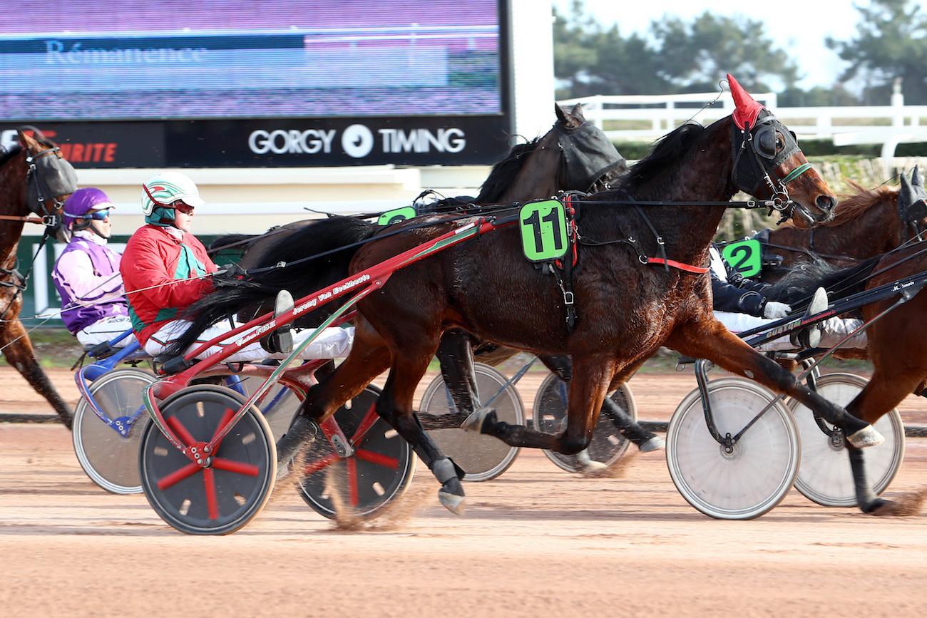 Track Test Quinté+ du vendredi 18 février à Cagnes/Mer Baron du Bourg