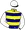 Casaque n°5