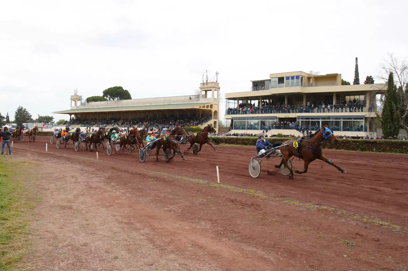 Vue de l'Hippodrome de Salon de Provence