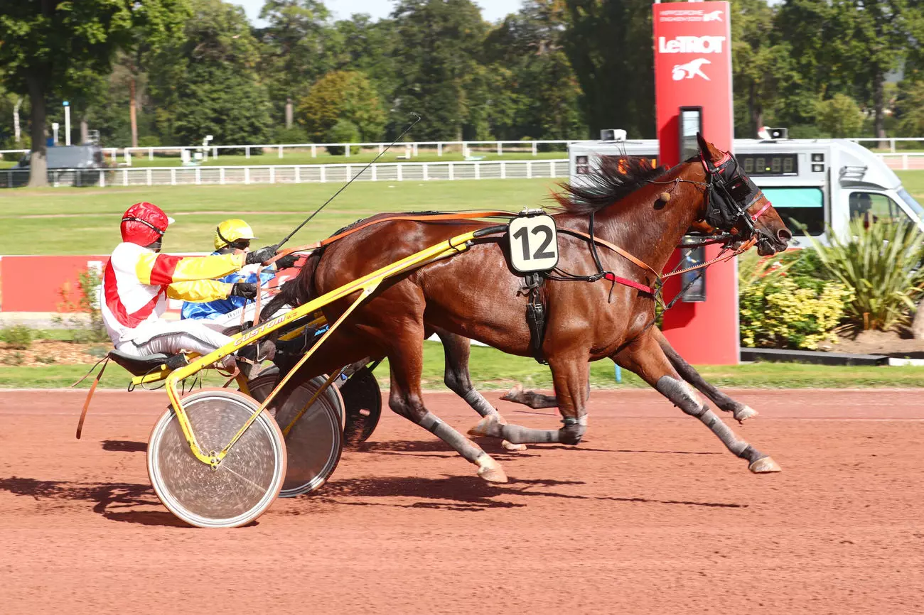 Image de l'article