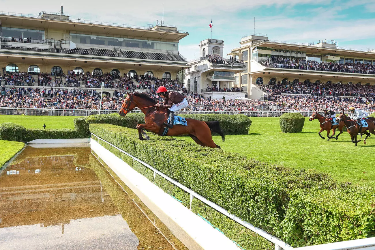 Courses hippiques : un cheval de la Manche remporte le Grand steeple-chase de Paris