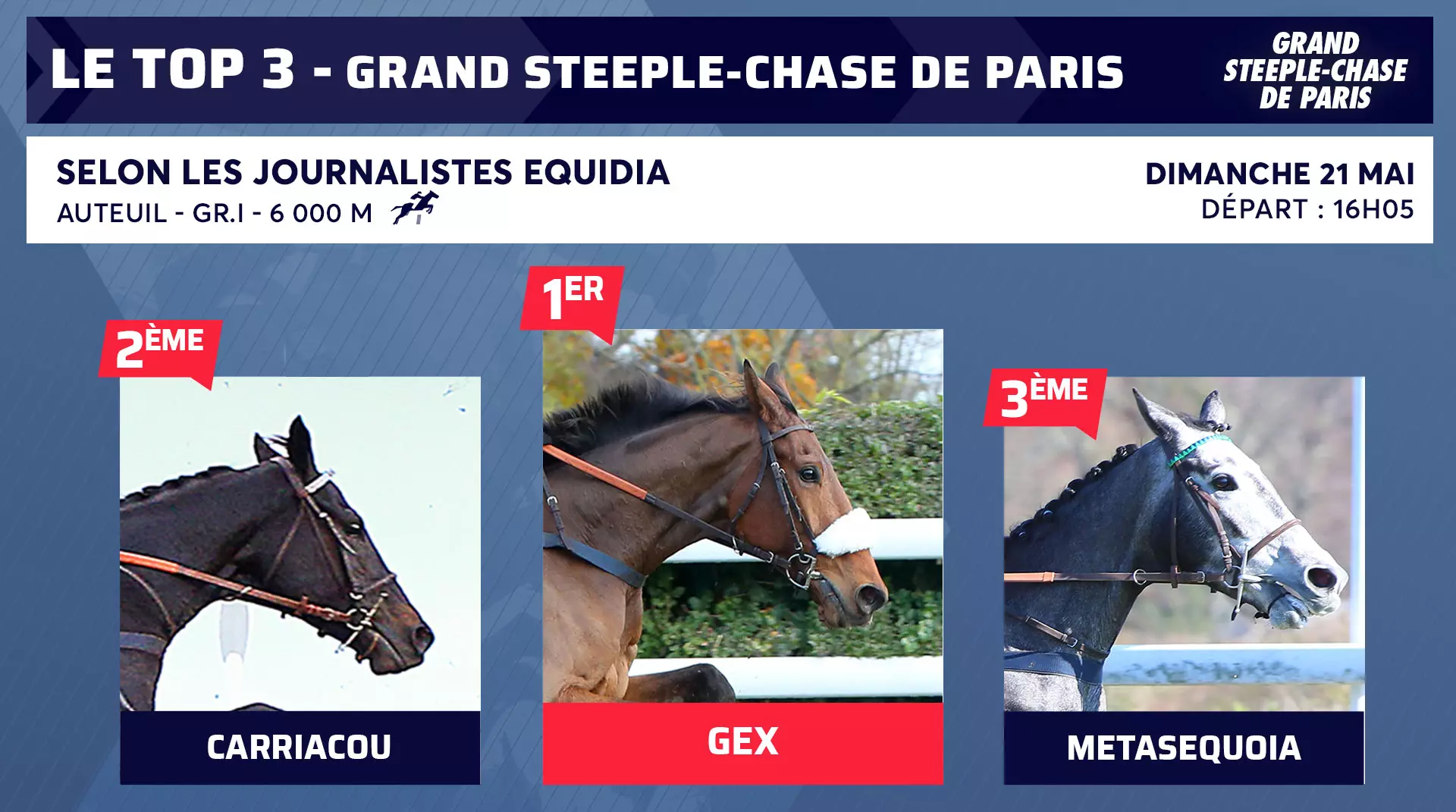 Quinté+: Le Top 3 des journalistes d'Equidia pour Grand Steeple-Chase ...
