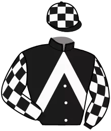 Casaque n°8