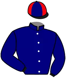 Casaque n°3