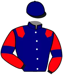 Casaque n°3
