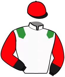 Casaque n°8