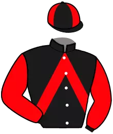 Casaque n°3