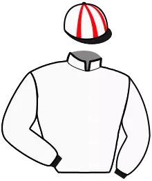 Casaque n°3