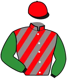 Casaque n°2