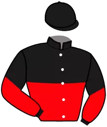 Casaque n°10