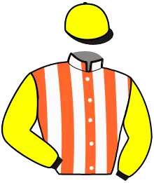 Casaque n°6