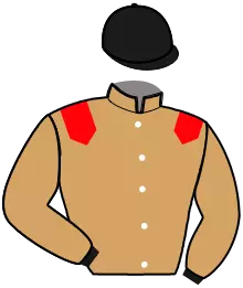 Casaque n°5