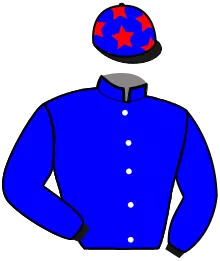 Casaque n°2