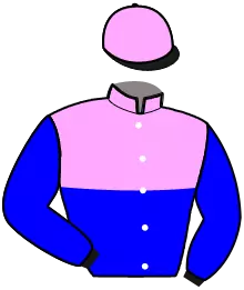 Casaque n°2