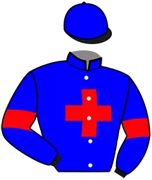 Casaque n°8