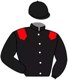 Casaque n°3