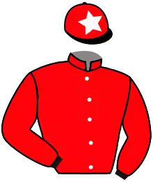 Casaque n°3