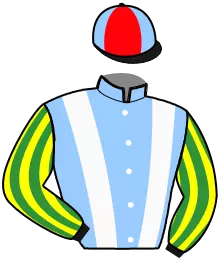 Casaque n°2