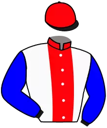 Casaque n°17