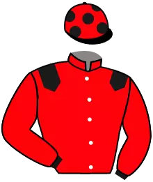 Casaque n°11