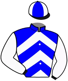 Casaque n°6
