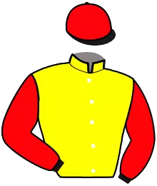 Casaque n°15