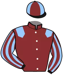 Casaque n°10