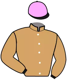 Casaque n°2