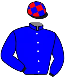 Casaque n°3