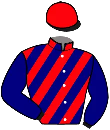 Casaque n°4