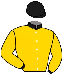 Casaque n°2