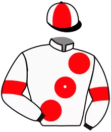 Casaque n°3