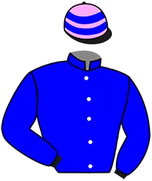 Casaque n°10