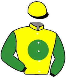 Casaque n°2