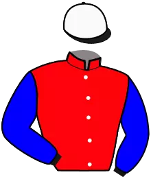 Casaque n°2
