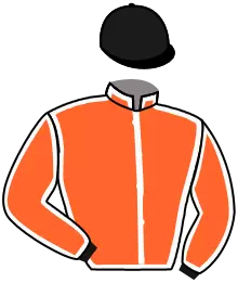 Casaque n°6