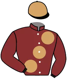 Casaque n°4