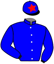 Casaque n°6