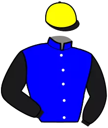 Casaque n°2