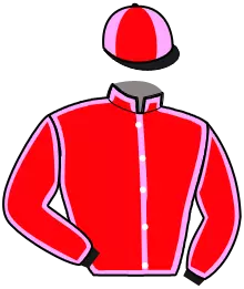Casaque n°11