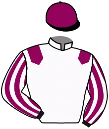 Casaque n°2