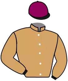 Casaque n°3