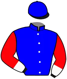 Casaque n°10