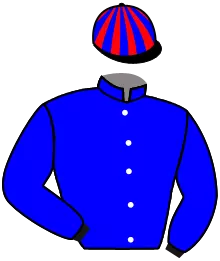 Casaque n°3