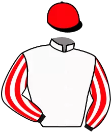 Casaque n°12