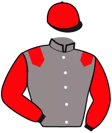 Casaque n°5